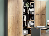 Archiefkast robert 196 cm 2 deuren - antraciet/eik - afbeelding 5 van  7