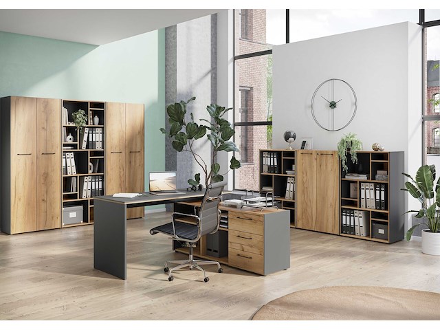 Archiefkast robert 196 cm 2 deuren - antraciet/eik - afbeelding 6 van  7