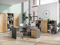 Archiefkast robert 196 cm 2 deuren - antraciet/eik - afbeelding 6 van  7