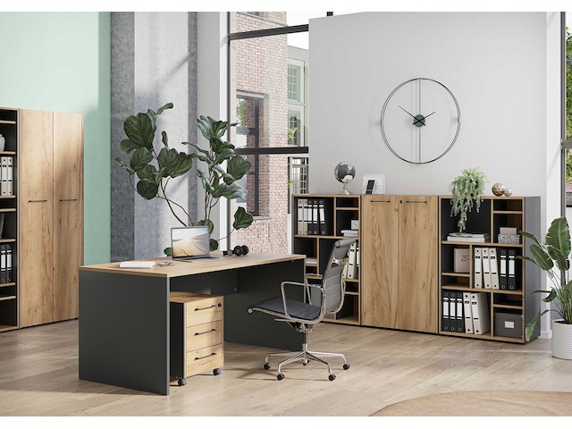 Archiefkast robert 196 cm 2 deuren - antraciet/eik - afbeelding 7 van  7