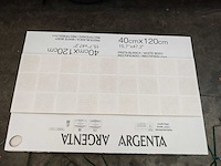 Argenta dimension rough cream decor mat wandtegel 40x120 cm 22,56 m² - afbeelding 2 van  7