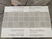 Argenta dimension rough grey decor mat wandtegel 40x120 cm 23,04 m²