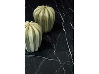 Ariostea marmi classici nero marquinia levigato silk 60x60 cm - vloertegel 34m² - afbeelding 2 van  2