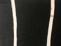 Arlikoop - afbeelding 2 van  2