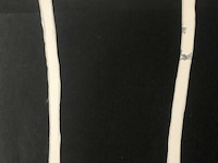 Arlikoop - afbeelding 2 van  2