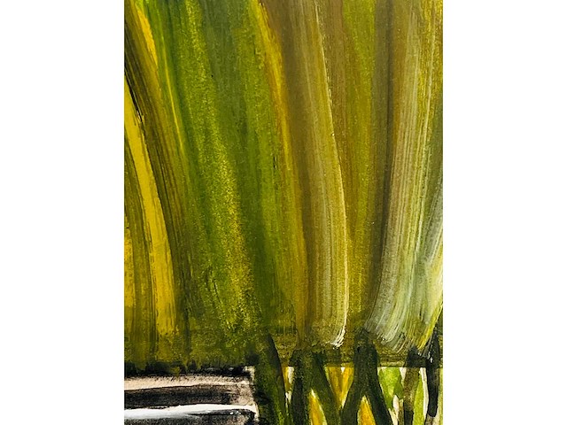 Armand vanderlick - aquarel - lage instel - afbeelding 13 van  13