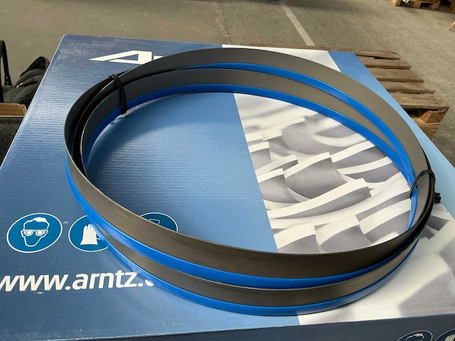 Arntz lintzaagblad (10x) - afbeelding 2 van  6