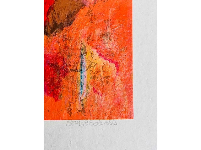 Arthur bernard - kleurenzeefdruk - afbeelding 7 van  16