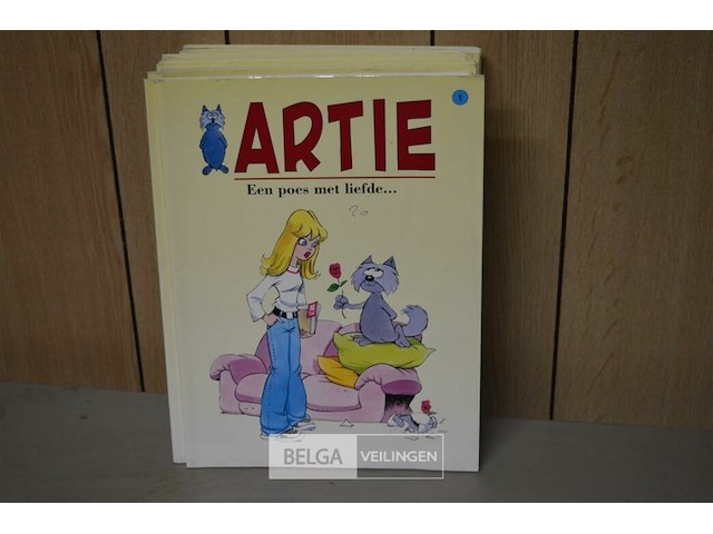 Artie - afbeelding 1 van  3
