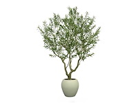 Artificial olive tree in deco pot - afbeelding 1 van  1