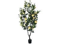 Artificial rozen plant - afbeelding 1 van  1