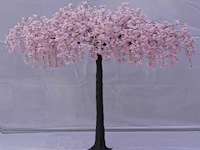Artificial sakura boom