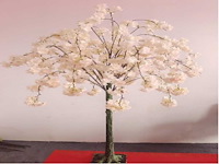Artificial sakura boom