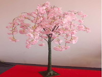 Artificial sakura boom