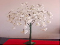 Artificial sakura boom