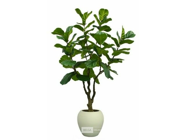 Artificiële fiscus lyrata in deco pot - afbeelding 1 van  1