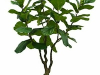 Artificiële fiscus lyrata in deco pot - afbeelding 1 van  1