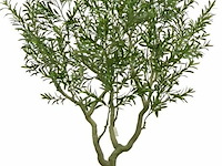 Artificiële olijfboom in deco pot - afbeelding 1 van  1