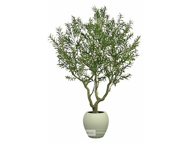 Artificiële olijfboom in deco pot - afbeelding 1 van  1