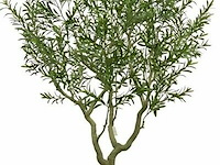 Artificiële olijfboom in deco pot