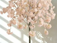 Artificiële sakura boom kleur : champagne - afbeelding 1 van  2
