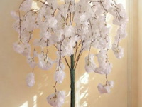 Artificiële sakura boom kleur : wit - afbeelding 1 van  2
