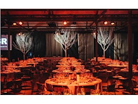 Artificiële winter populierboom 450cm h - afbeelding 3 van  7