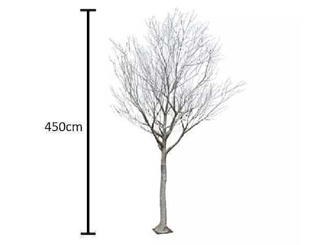 Artificiële winter populierboom 450cm h - afbeelding 1 van  7