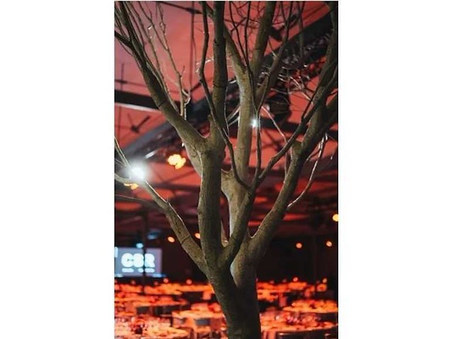 Artificiële winter populierboom 550cm h - afbeelding 2 van  7