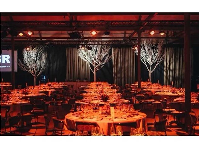 Artificiële winter populierboom 550cm h - afbeelding 3 van  7