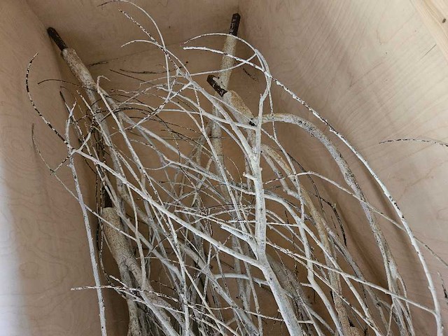 Artificiële winter populierboom 550cm h - afbeelding 4 van  8