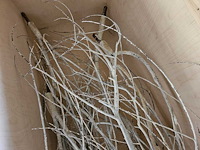 Artificiële winter populierboom 550cm h - afbeelding 4 van  8