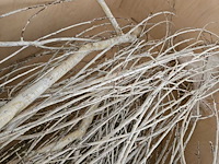 Artificiële winter populierboom 550cm h - afbeelding 6 van  8