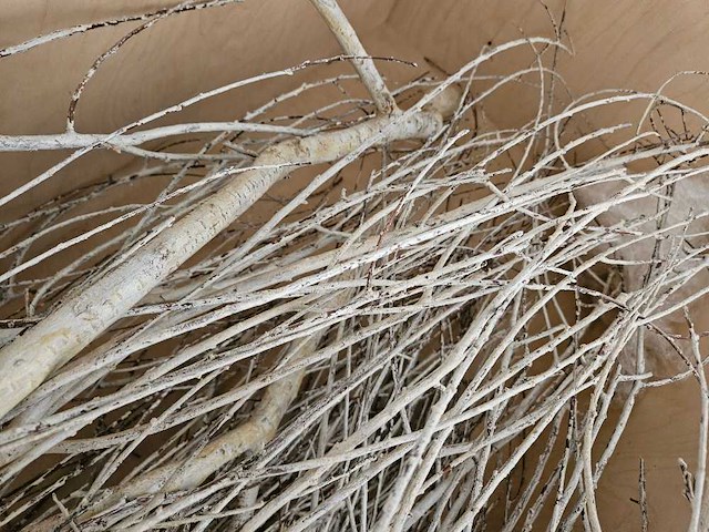 Artificiële winter populierboom 550cm h - afbeelding 7 van  8