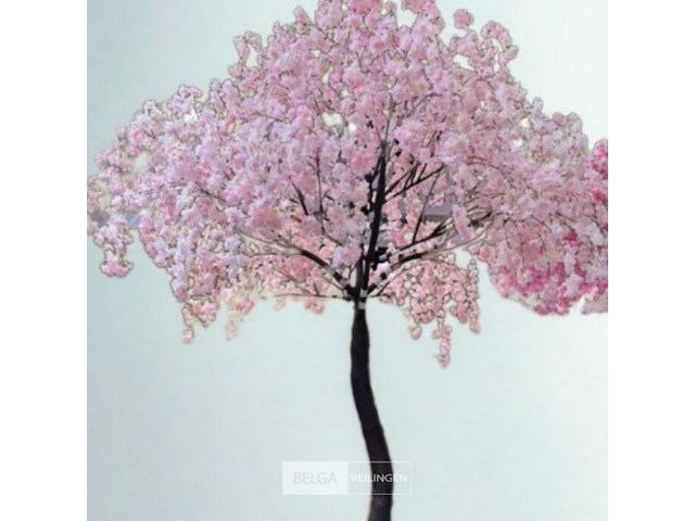 Artificiële wisteria boom kleur : roze - afbeelding 1 van  3
