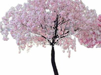 Artificiële wisteria boom kleur : roze - afbeelding 3 van  3