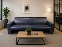 Artifort - 3-zit - sofa