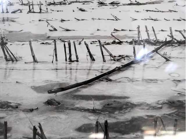 Artistieke foto roelant - afbeelding 2 van  4