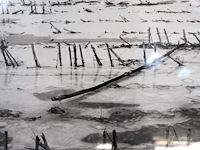 Artistieke foto roelant - afbeelding 2 van  4