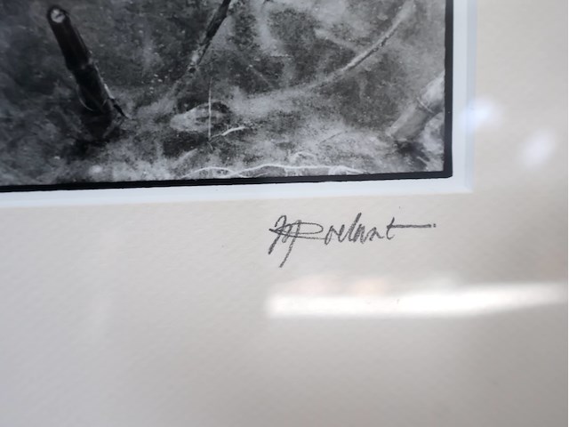 Artistieke foto roelant - afbeelding 3 van  4