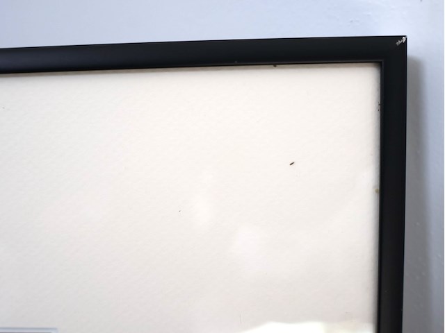 Artistieke foto roelant - afbeelding 4 van  4