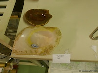 Asbakken - afbeelding 1 van  1