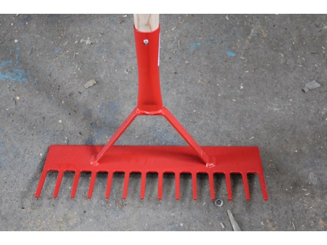 Asfalthark - afbeelding 2 van  2