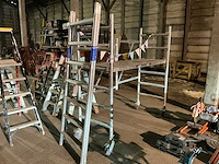 Asg rolsteiger - afbeelding 1 van  4