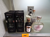 Assortiment filliers + 3 diverse gin's - afbeelding 1 van  4