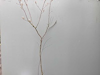 Assortiment haagplanten en struiken - krenten - crosnus rood & geel - cariopteris - vlinderstruiken (x40) - afbeelding 1 van  7