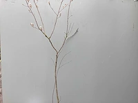 Assortiment haagplanten en struiken - krenten - crosnus rood & geel - cariopteris - vlinderstruiken (x40)