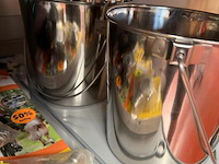 Assortiment hondenaccessoires - afbeelding 6 van  6