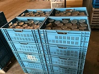 Assortiment steriliseerbokalen - afbeelding 3 van  9