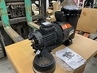 Astrapool victoria plus 38778 zwembadinstallatiematerialen - afbeelding 1 van  7